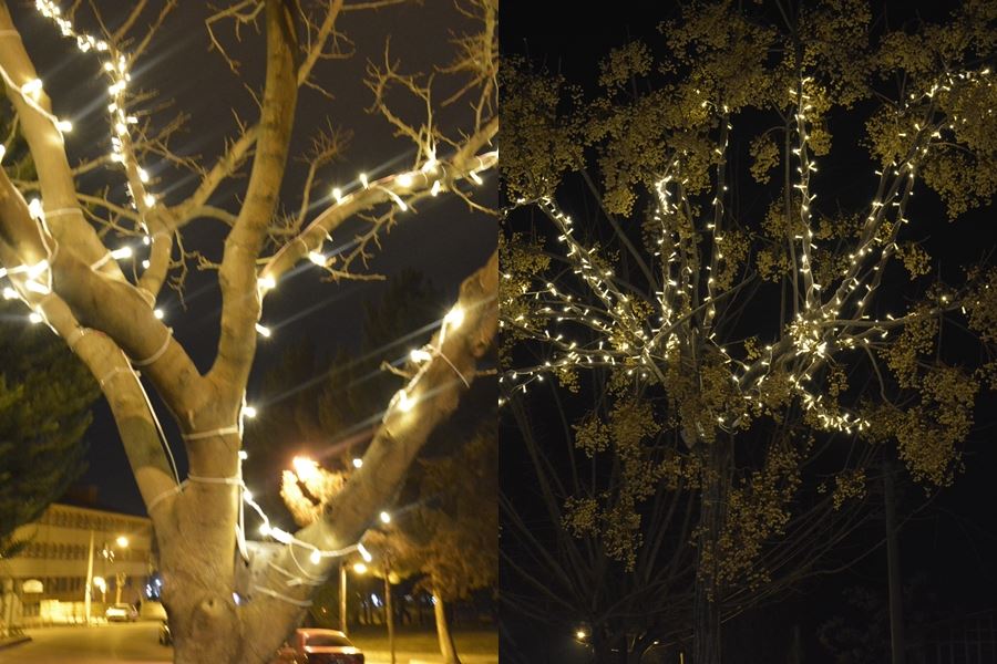 Siverek Belediyesinden Parklarda Işıklandırmalar Ve Peyzaj Çalışmaları
