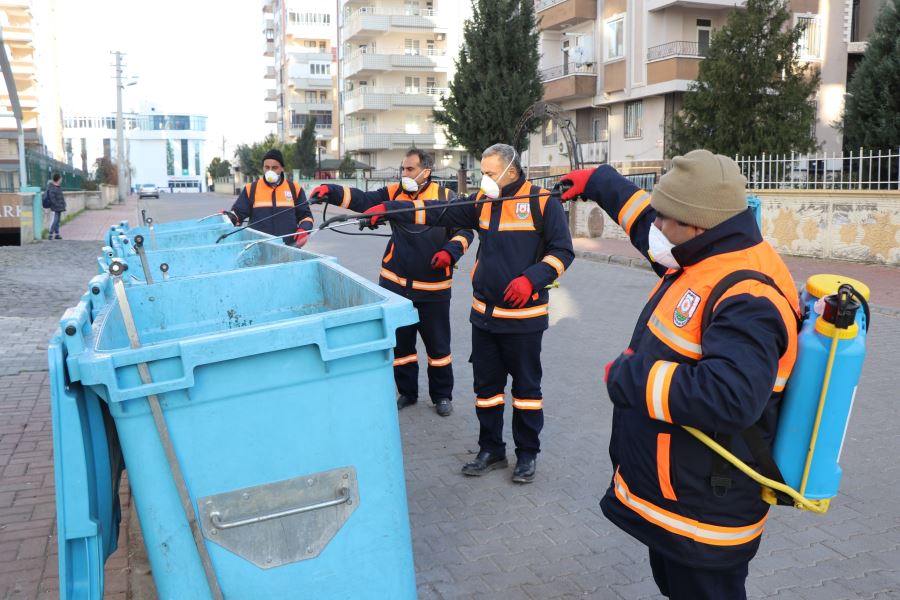 BÜYÜKŞEHİR’DE VEKTÖRLE MÜCADELE ÇALIŞMALARI HIZ KAZANDI