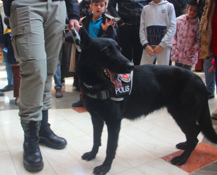 Şanlıurfa’da narkotik köpeği 
