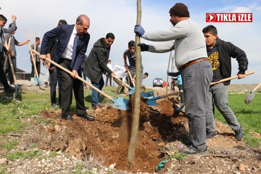 BAŞKAN YALÇINKAYA’DAN AĞAÇLANDIRMA SEFERBERLİĞİ