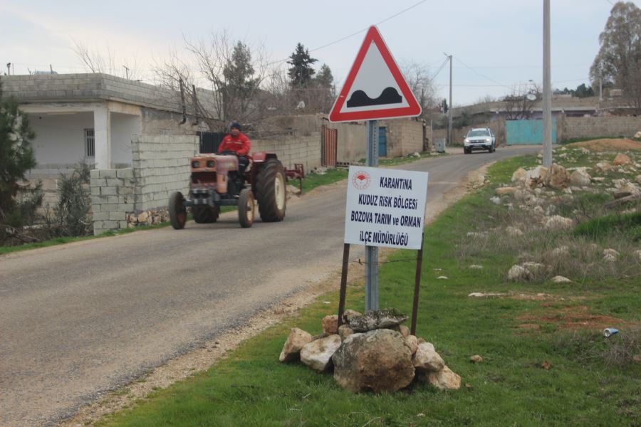 Şanlıurfa’nın Bozova ilçesinde kuduz paniği