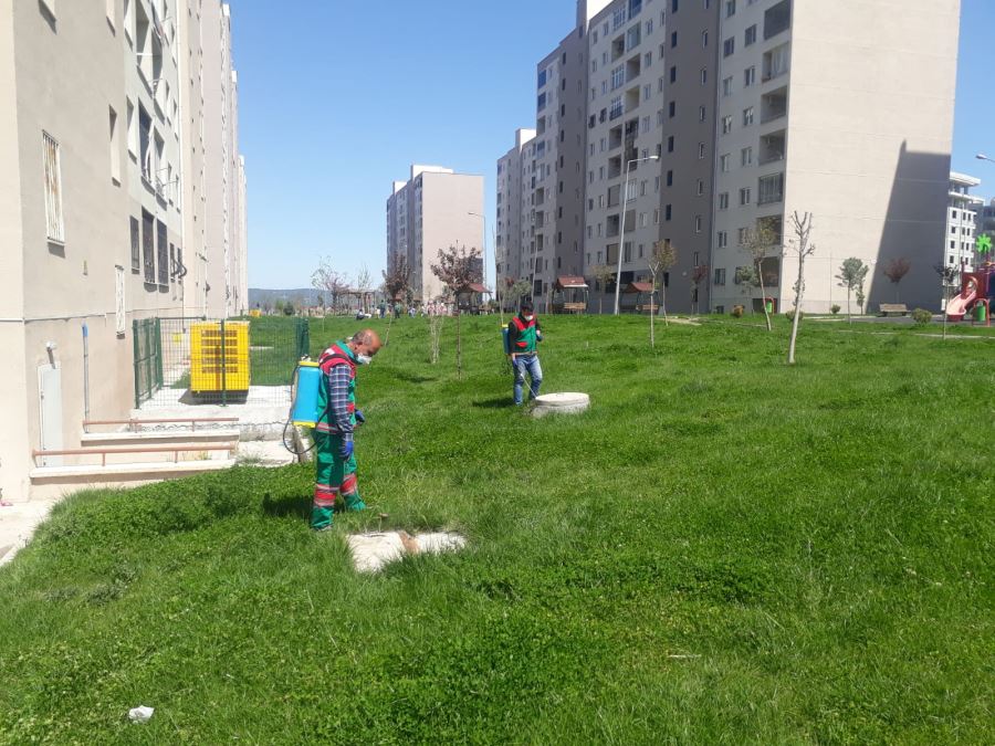 KARAKÖPRÜ SİNEKSİZ BİR YAZ İÇİN İLAÇLANIYOR