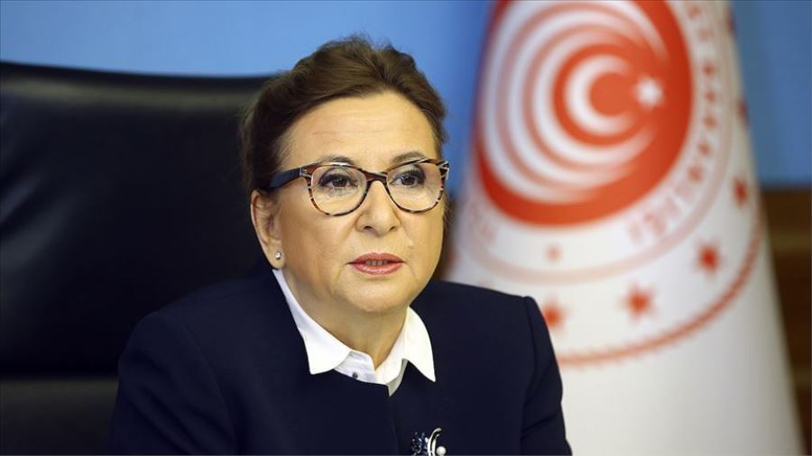 Pekcan