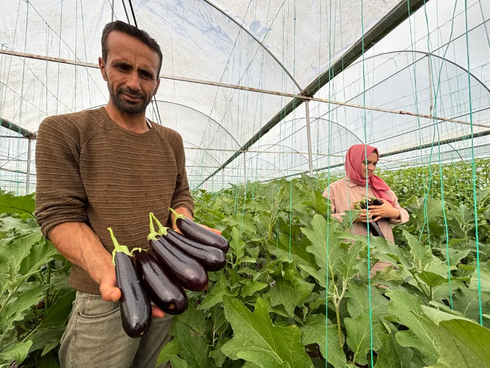SERA KENT ÜRETİYOR EYYÜBİYE KAZANIYOR