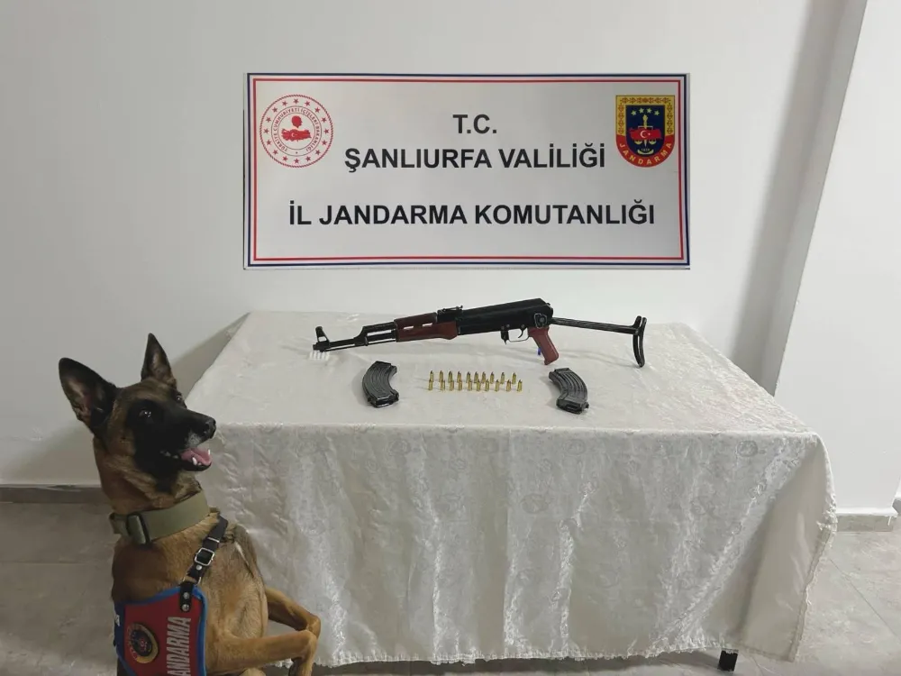 ŞANLIURFA’DA RUHSATSIZ SİLAH OPERASYONU