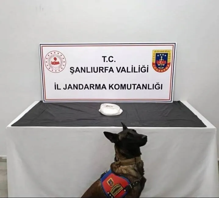 Şanlıurfa’da uyuşturucu operasyonu: 2 gözaltı