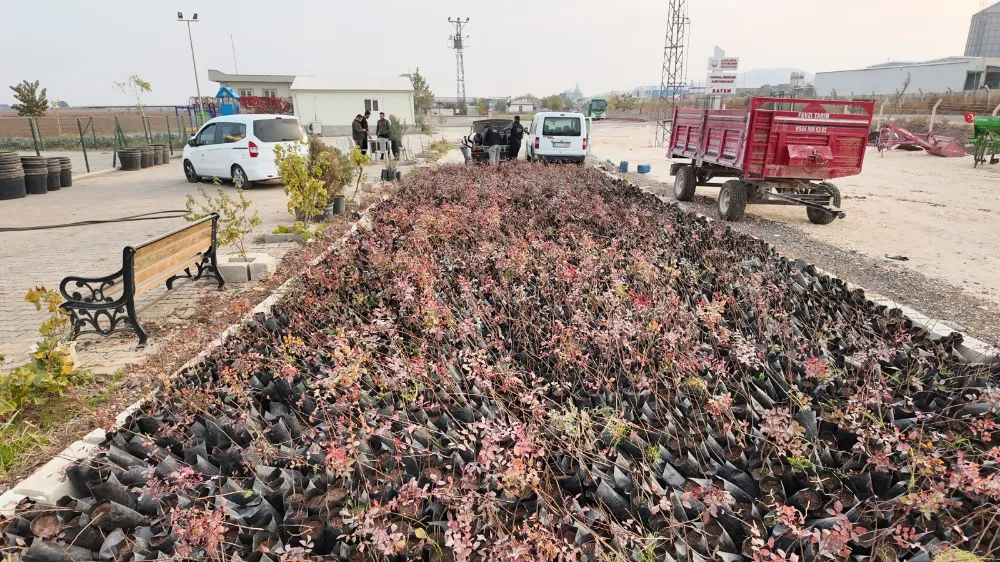 BÜYÜKŞEHİR’DEN ÇİFTÇİLERE 35 BİN FISTIK FİDANI DESTEĞİ