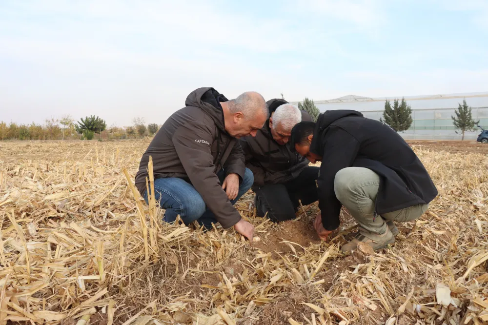 BÜYÜKŞEHİR’DE TARIMDA YENİLİKÇİ YÖNTEM