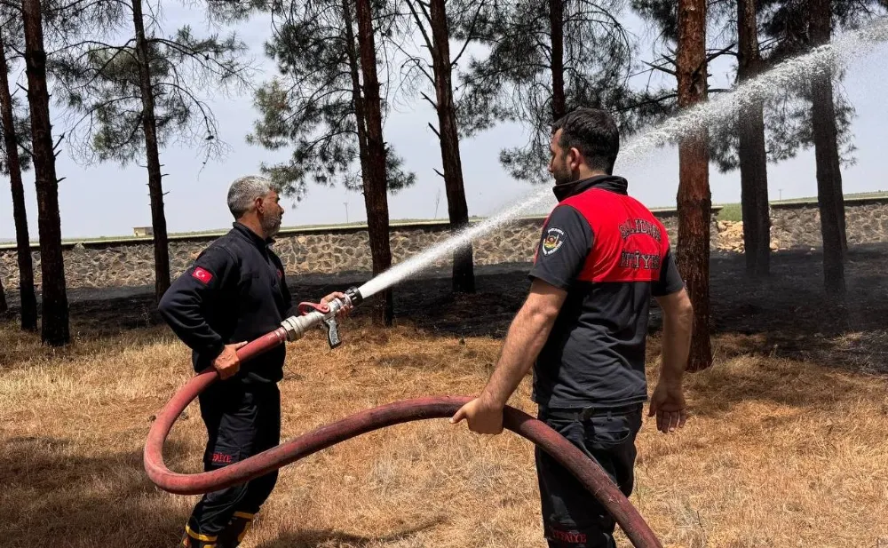 ORMANLIK ALANDAKİ AĞAÇLAR YANDI