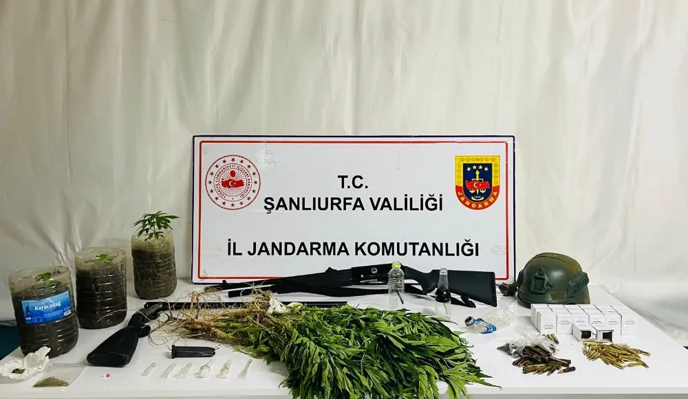 SİVEREK’TE UYUŞTURUCU OPERASYONU: 42 GÖZALTI