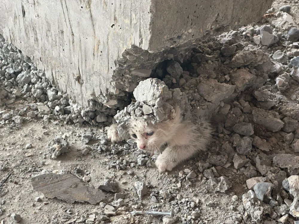 ŞANLIURFA