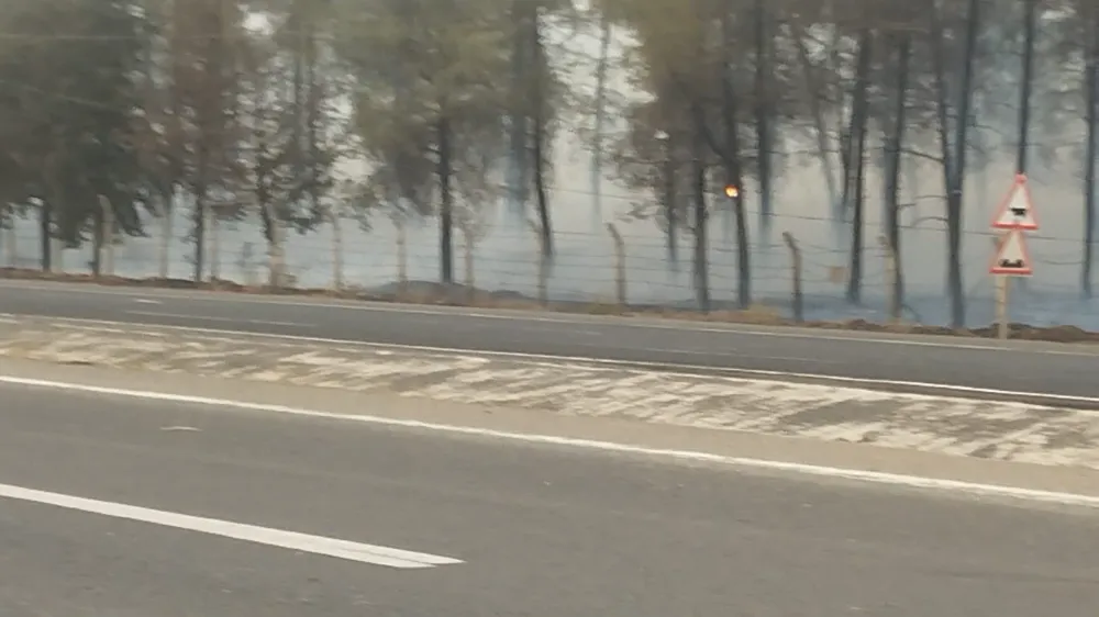 ŞANLIURFA’DA ORMAN YANGINI: ALEVLERİN PETROL İSTASYONUNA SIÇRAMAMASI İÇİN SEFERBER OLDULAR
