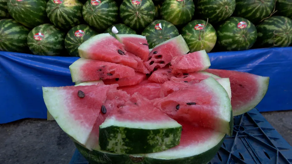 KARPUZUN YIKANMADAN KESİLMESİ 