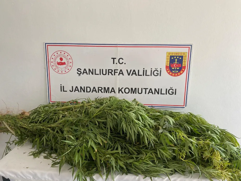 ŞANLIURFA’DA UYUŞTURUCU OPERASYONU: 2 GÖZALTI 