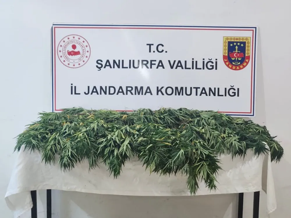 ŞANLIURFA’DA UYUŞTURUCU OPERASYONU: 2 GÖZALTI
