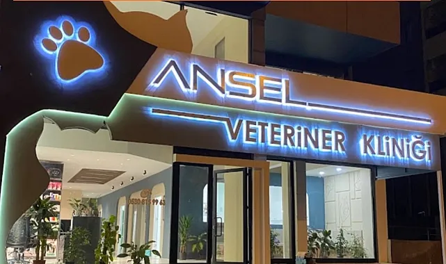 Şanlıurfa’da Ansel Veteriner Kliniği Hakkında Şok İddia: İki Kedi, Aynı Klinik, Aynı Son!