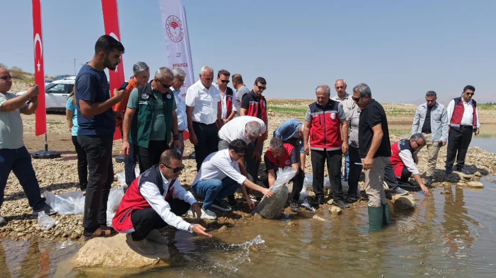 1 MİLYONUN ÜZERİNDE YAVRU SAZAN DOĞAYA BIRAKILDI