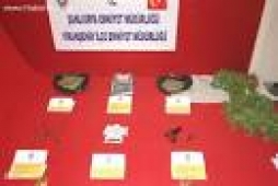 Viranşehir`de Esrar Operasyonu