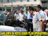 ŞANLIURFA`DA NEFES KESEN YILAN OPERASYONU 
