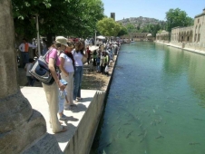 Suriyedeki İç Savaş  Urfa Turizmini Vurdu