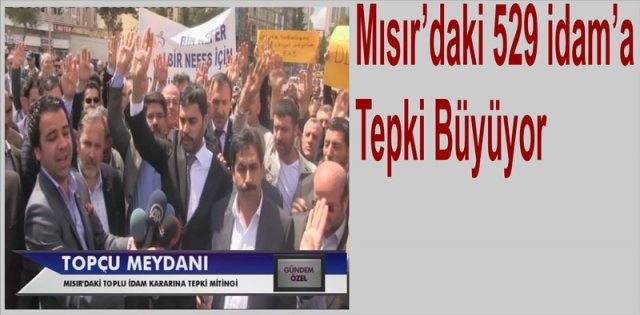 Şanlıurfada Mısır`daki 529 idama Büyük Tepki