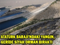 ATATÜRK BARAJI`NDAKİ YANGIN, GERİDE SİYAH ORMAN BIRAKTI 