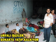 URFALI İŞÇİLER, SOKAKTA YATIP KALKIYOR