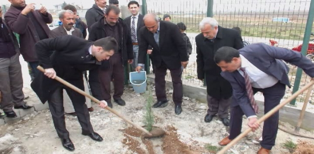 HARRAN?DA 100 BİN AĞAÇ DİKİMİNE BAŞLANDI