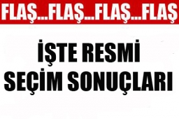 Resmi seçim sonuçları açıklandı 