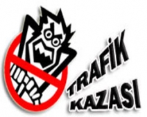 CEYLANPINAR`DA KAZA: 2 YARALI 