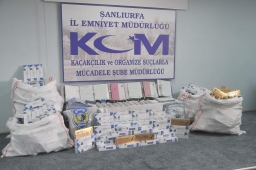 SAHTE EHLİYET ŞEBEKESİNE DARBE